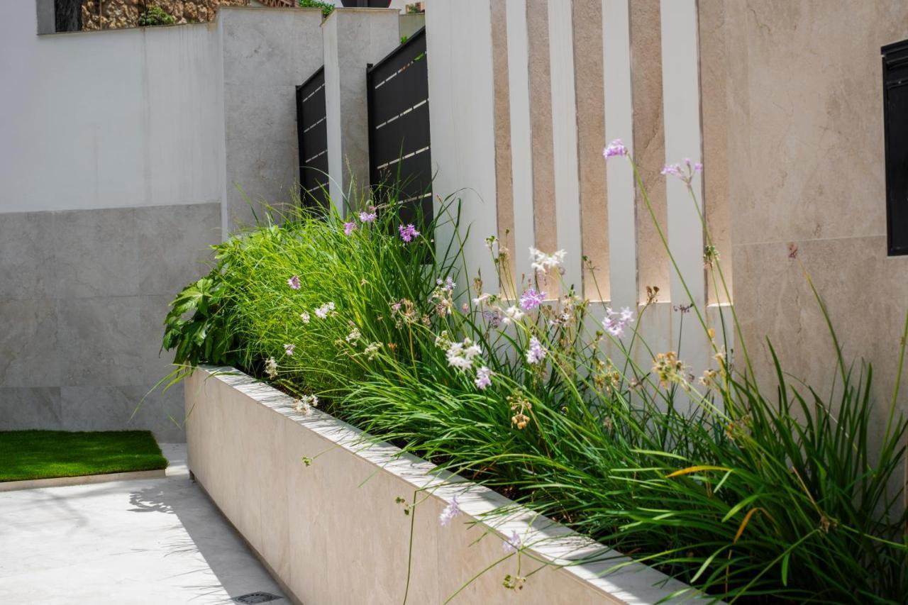 Apartamentos La Zagalilla مالقة المظهر الخارجي الصورة